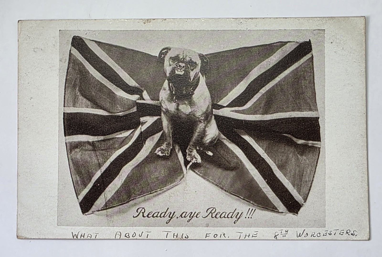 Postcard: Postcard: British Bulldog sat on Flag. Ready, Aye, Ready.: catalogue image 1