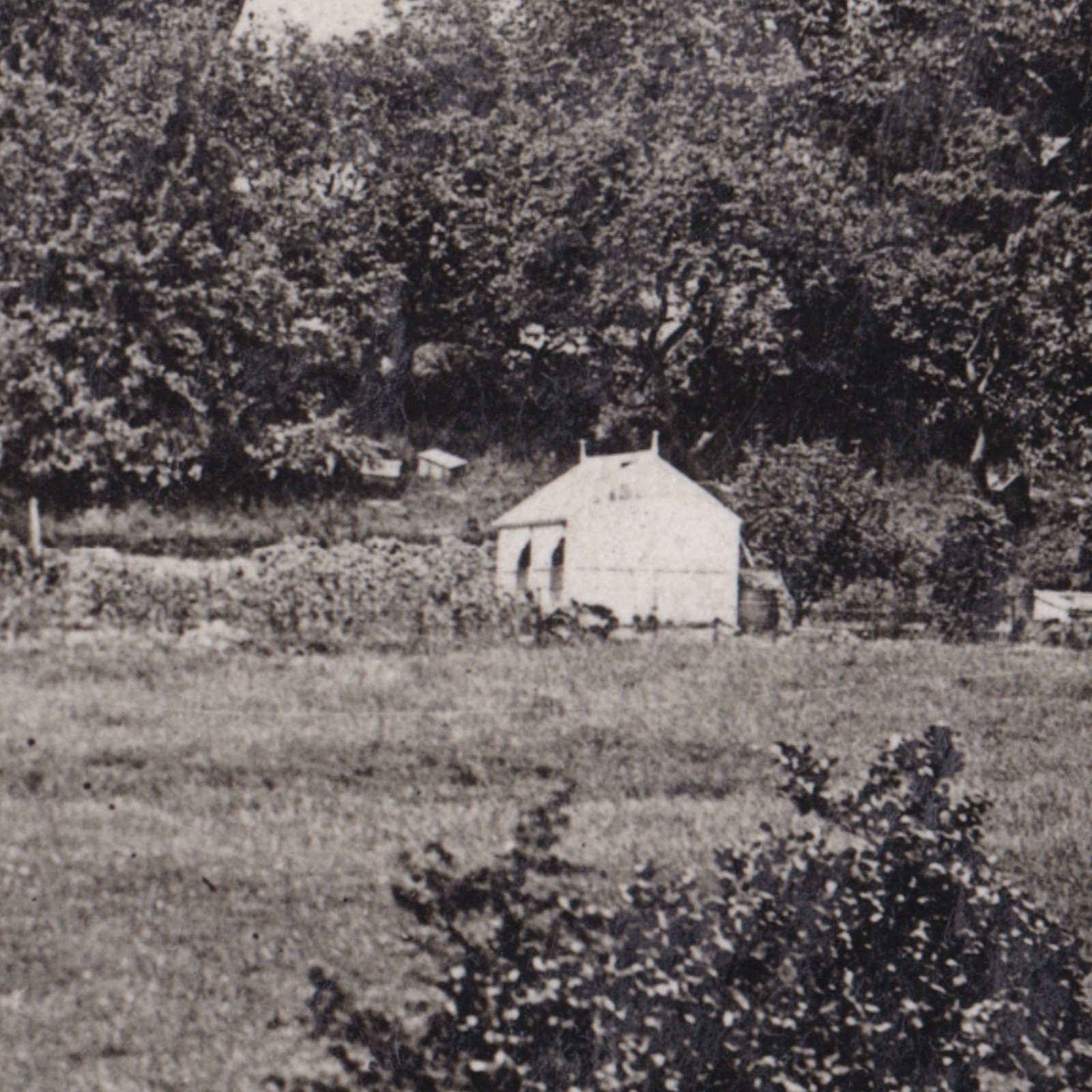 Postcard: Postcard: The Heaning, Newton, Real Photograph by BUCK, Clitheroe, Lancashire: catalogue image 11