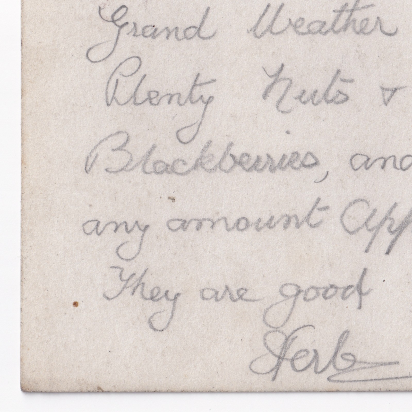 Postcard: Postcard: The Heaning, Newton, Real Photograph by BUCK, Clitheroe, Lancashire: catalogue image 16