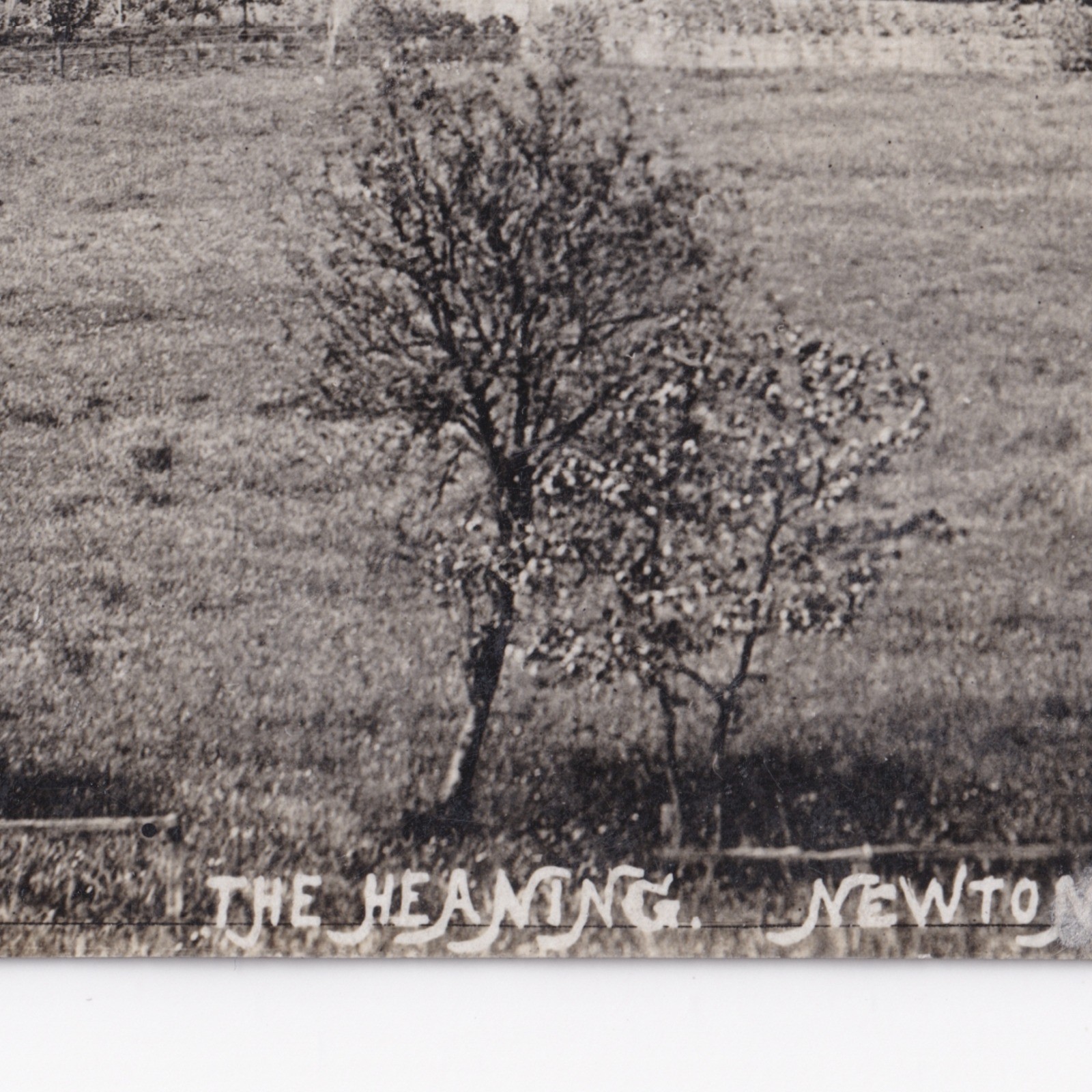 Postcard: Postcard: The Heaning, Newton, Real Photograph by BUCK, Clitheroe, Lancashire: catalogue image 3