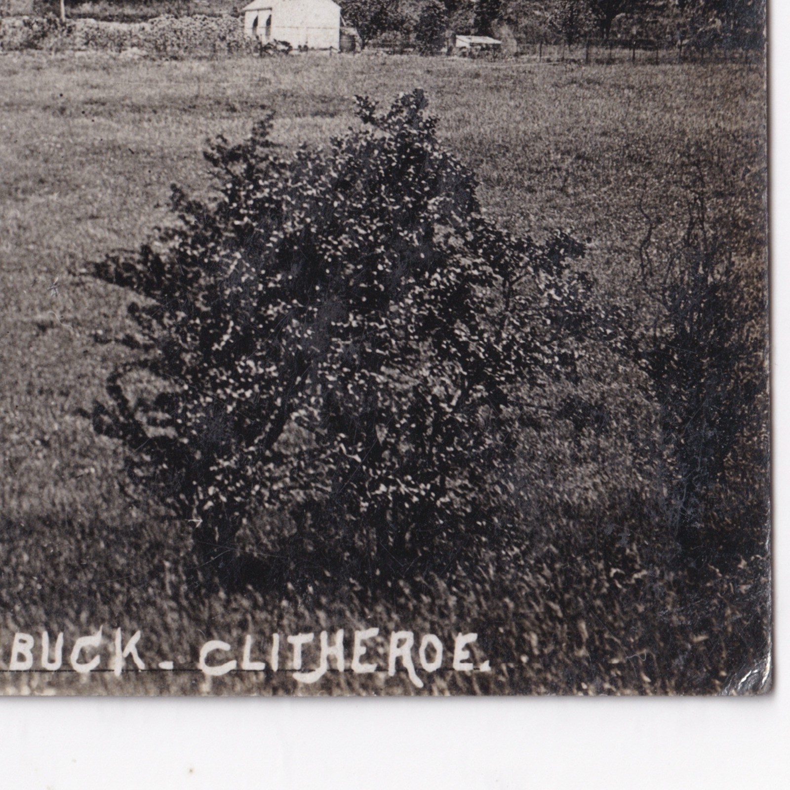 Postcard: Postcard: The Heaning, Newton, Real Photograph by BUCK, Clitheroe, Lancashire: catalogue image 9